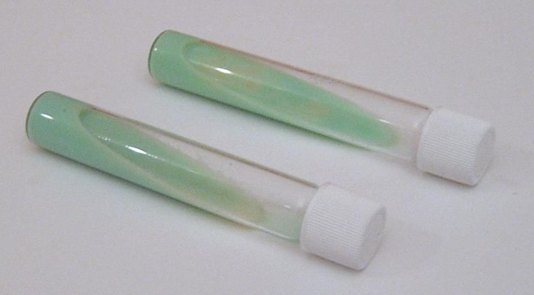 Lowenstein Jensen Lj Medium Composition Preparation Method Of Use