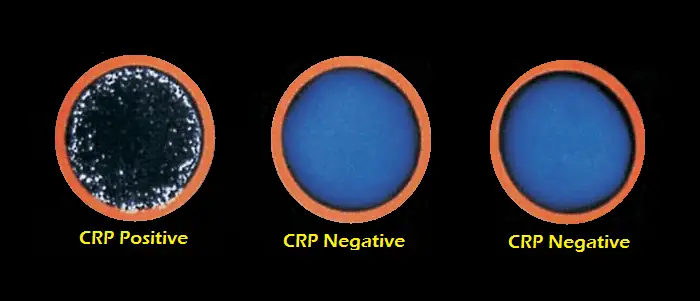 c-reactive-protein-crp
