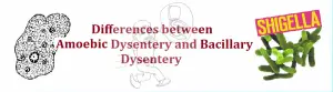 Differences Between Amoebic Dysentery and Bacillary Dysentery