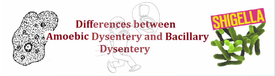 differences-between-amoebic-dysentery-and-bacillary-dysentery