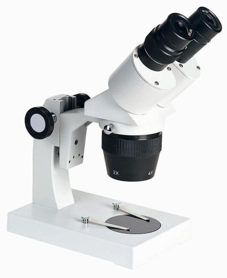 image above is a stereo microscope