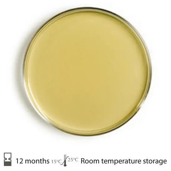 image of a tryptic soy agar plate