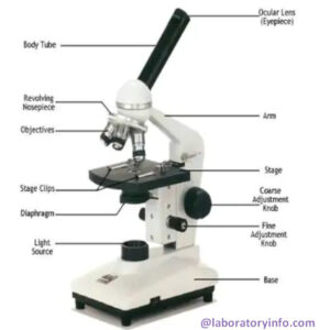 Simple Microscope – Parts, Functions, Diagram and Labelling