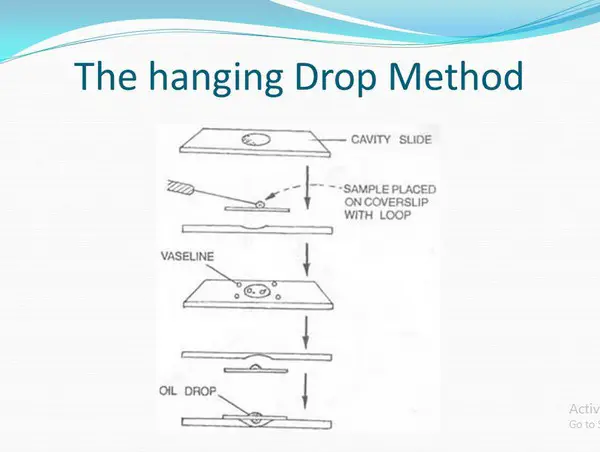 Motility test using the hanging drop method