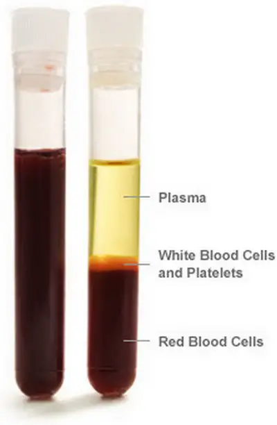 test tube labeling the plasma component of the blood