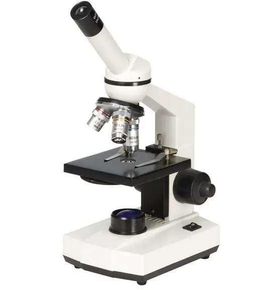 compound microscope typically used in schools