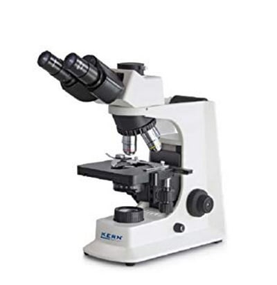 compound microscope typically used in the laboratory setting