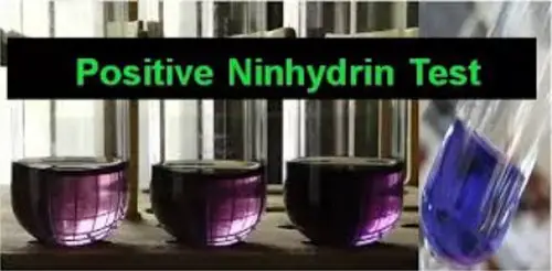 ninhydrin test is a quick procedure that can be done in just a few minutes