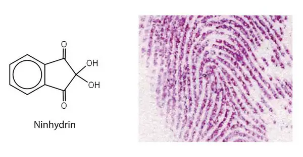 ninhydrin test is used to detect fingerprints
