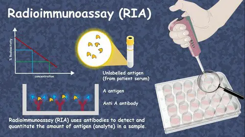 Radioimmunoassay is used in a variety of industries such as pharmacology, disease diagnosis, detection of allergies, and the likes