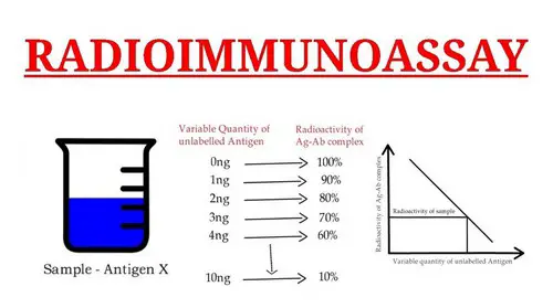 image above shows how a radioimmunoassay is done