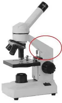 The image  is the arm of the microscope