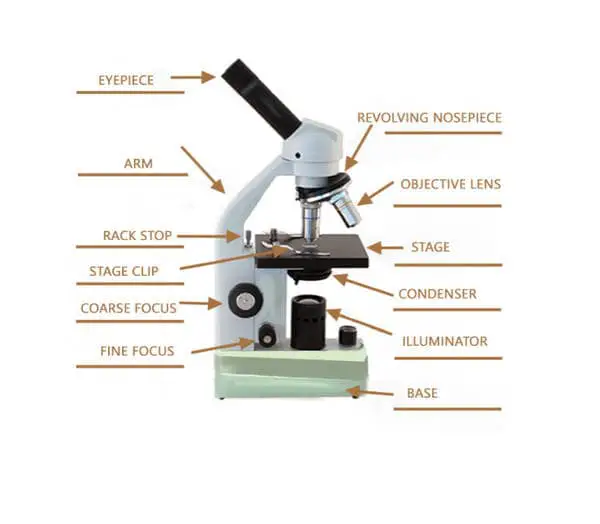 microscope label parts answers
