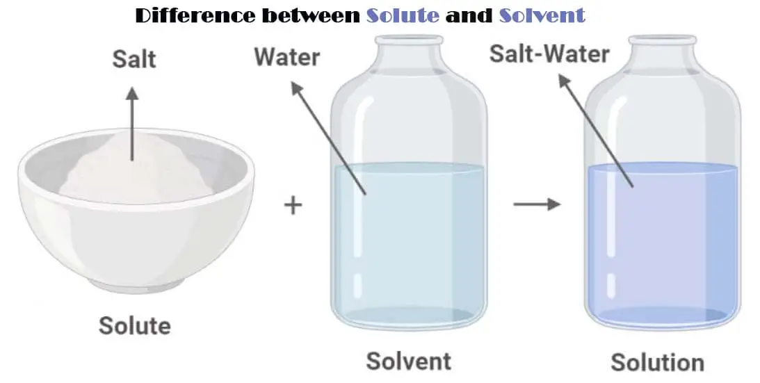 Differences between Solvent and Solvent