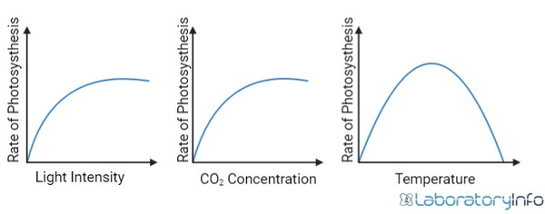 A Graphical representation of how Light intensity, CO2 concentration and Temperature affects the rate of photosynthesis