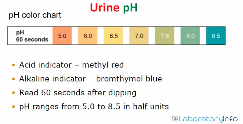 Urine Ph Level Color Chart Infoupdate