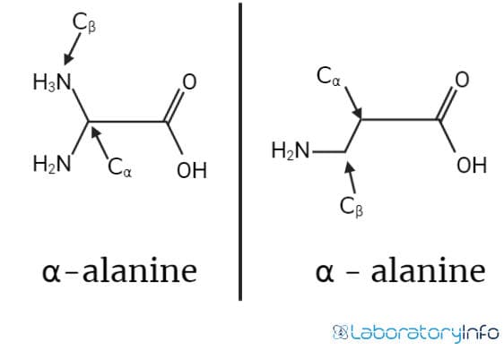 Structure of alpha and beta alanine.