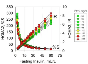 Decoding the HOMA-IR Test: Insulin Resistance Detection