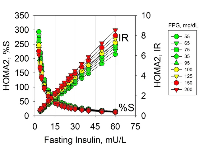 The Homeostatic Model Assessment (HOMA) estimates insulin resistance (IR) and insulin sensitivity (%S), taking into account fasting plasma insulin and fluctuating fasting plasma glucose levels.